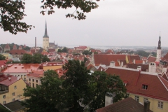 Вид с крепости Вышгорода на Таллин