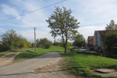 Дорога к школе, недалеко от центра Нови Сада